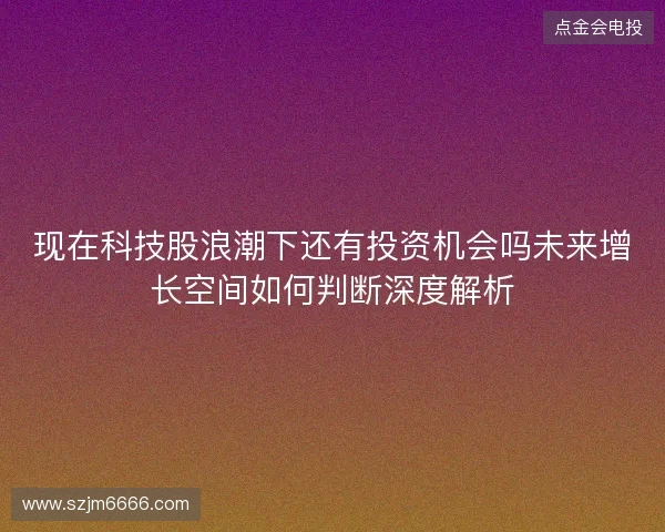 现在科技股浪潮下还有投资机会吗未来增长空间如何判断深度解析 现在科技股浪潮下还有投资机会吗未来增长空间如何判断深度解析