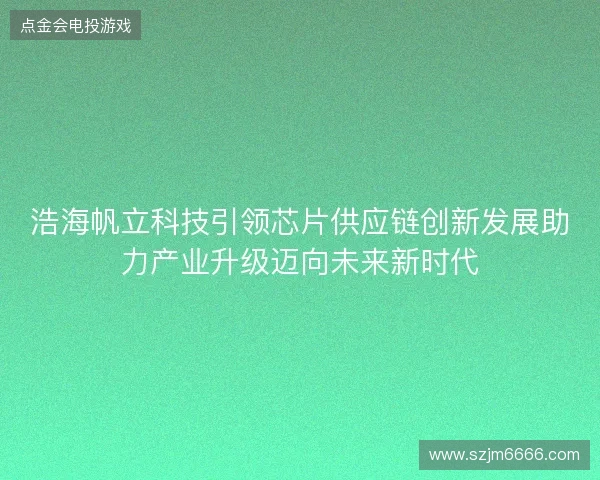 浩海帆立科技引领芯片供应链创新发展助力产业升级迈向未来新时代